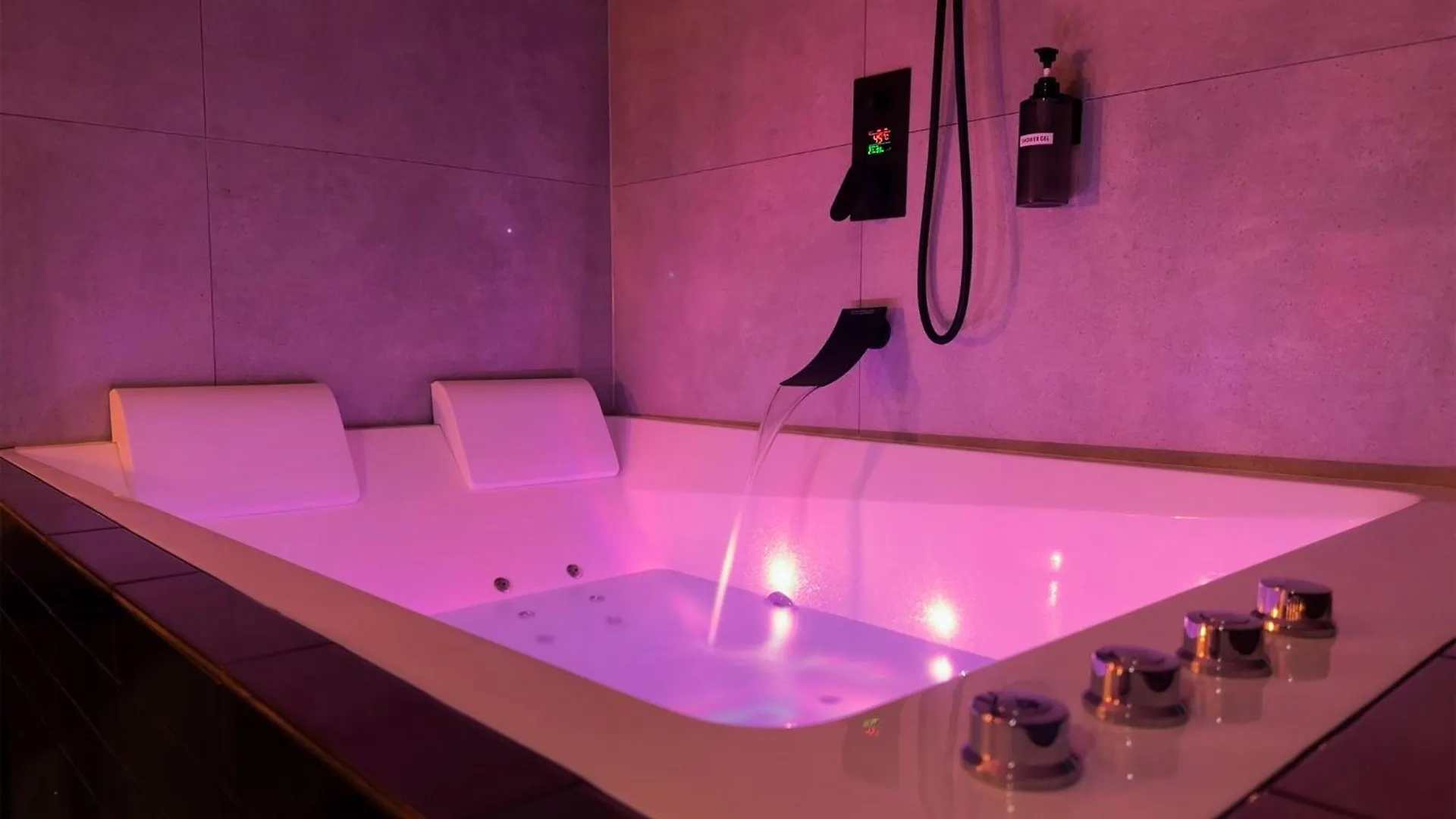 Yetişkin Oteli Serenity Suite - Love Room Vénissieux Fransa